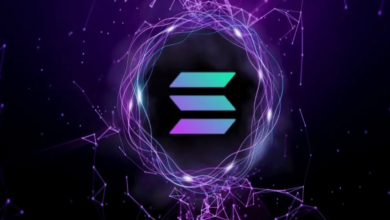 How Solana Price Has Evolved in 2025: A Comprehensive Overview