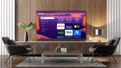 Roku Advertising: Engaging Audiences Through CTV