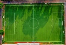 activity overview identifiers listed