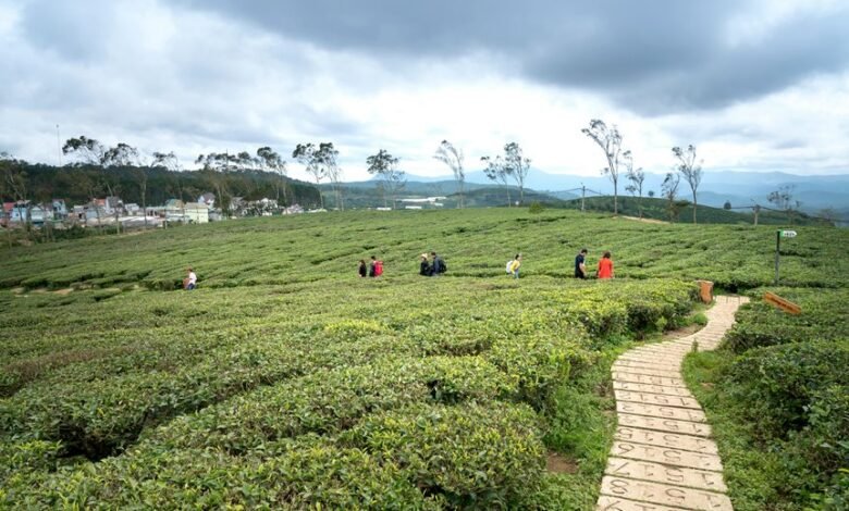 emerging business opportunities exploration