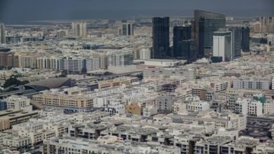 sector expansion overview analysis