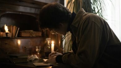 sector intelligence analysis report