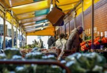 digital market demand strategy