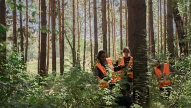 search dominance content strategy