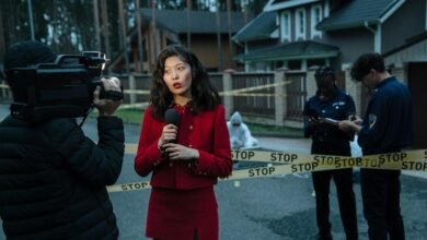 caller investigation report summary