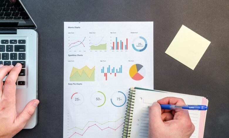 network record reports documentation