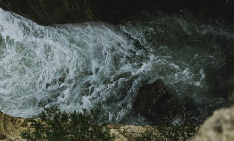 opportunity surge for nova