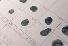 cyber intelligence coordination registry identifiers