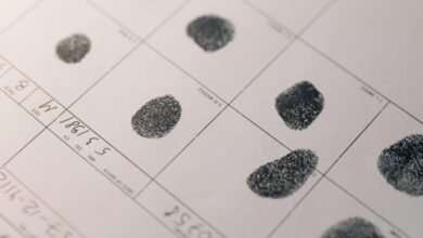 cyber intelligence coordination registry identifiers